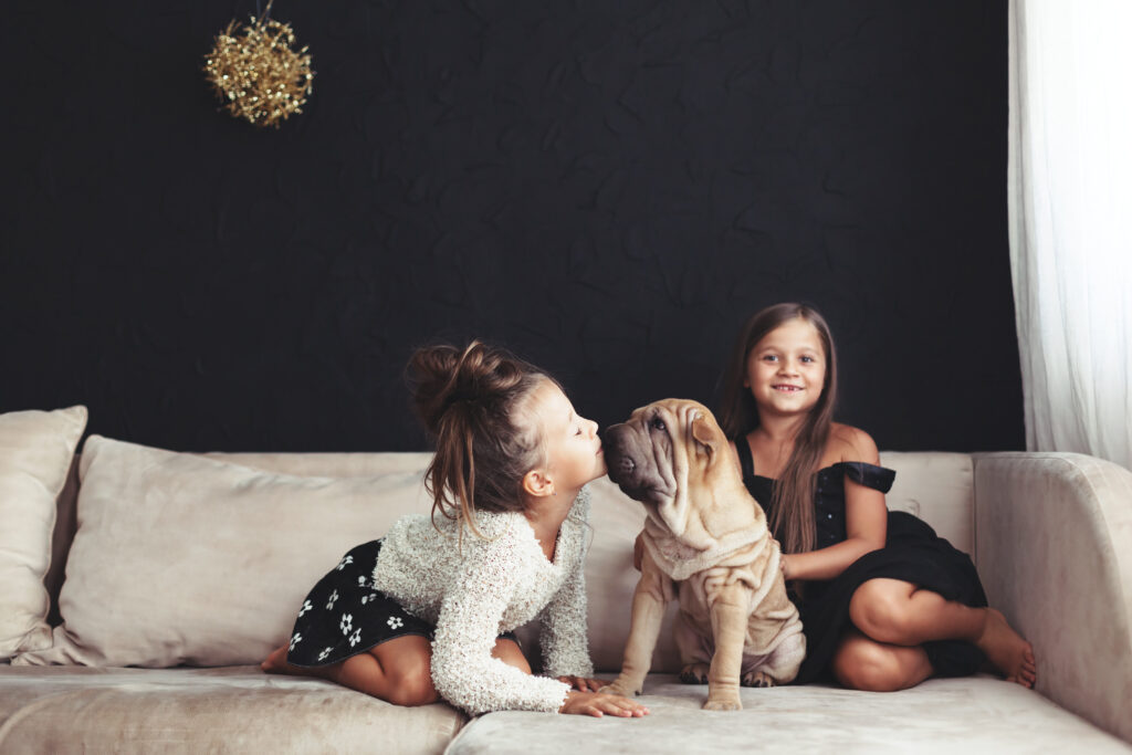 two kids and their mastiff puppy, there's something enchanting about a wrinky puppy, don't you think?!