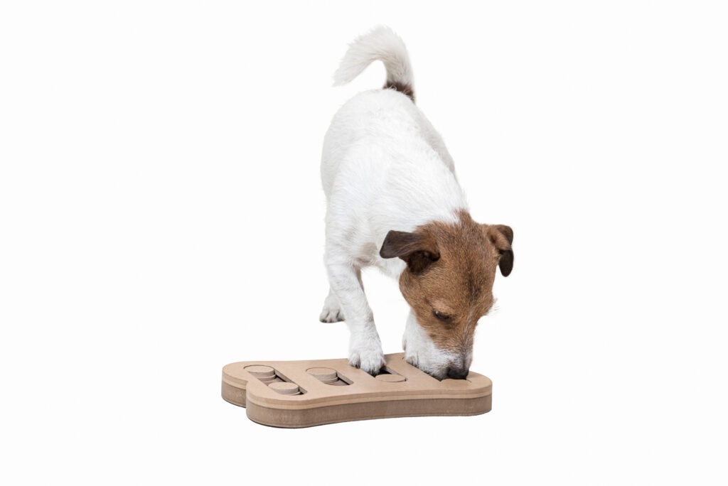 Puzzle toys can be wonderful enrichment which can help with Maslow's hierarchy of needs, and raising that 'base happiness' can really help if your pup is reactive.