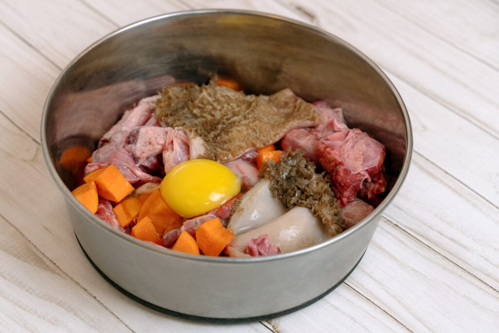 adding an egg to your puppy's food can be really helpful to help them gain a little weight
