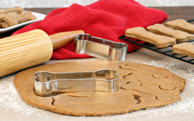 High Value Treats: The Complete Guide To Make Your Training Easy! (With A Recipe!)