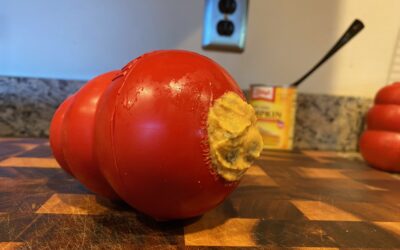 10 Tried & Tested, Delicious Kong Recipes For Your Puppy!