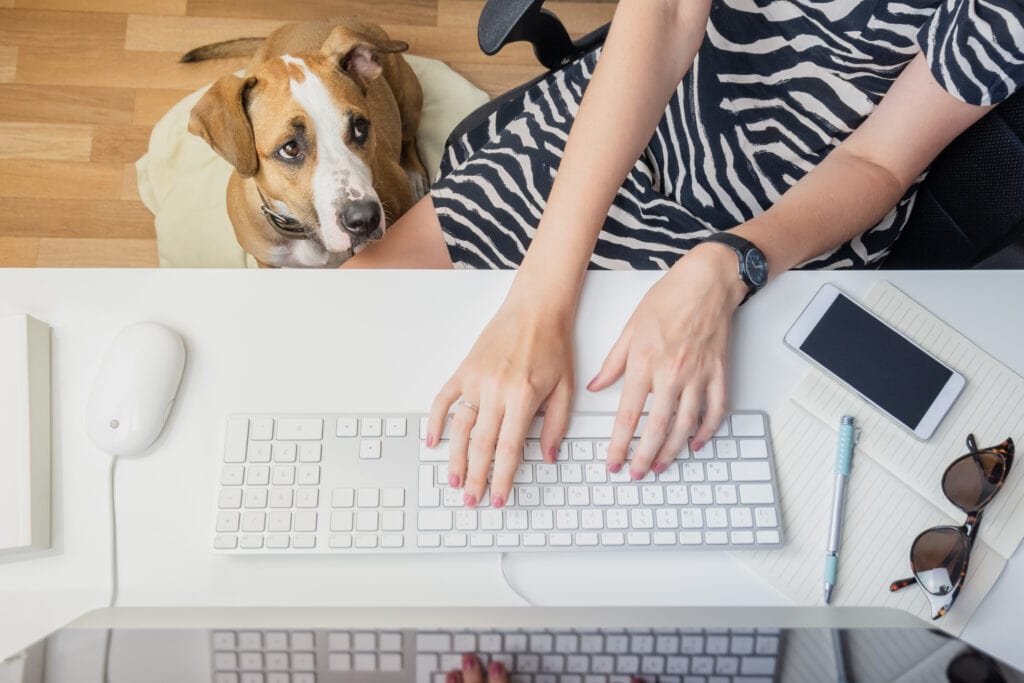 Working from home with your puppy they still need alone time