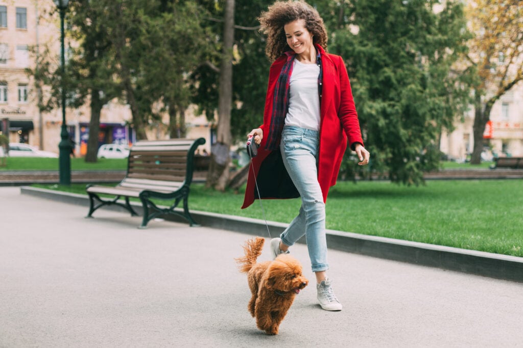 lady walking poodle puppy to keep him from being home alone too long