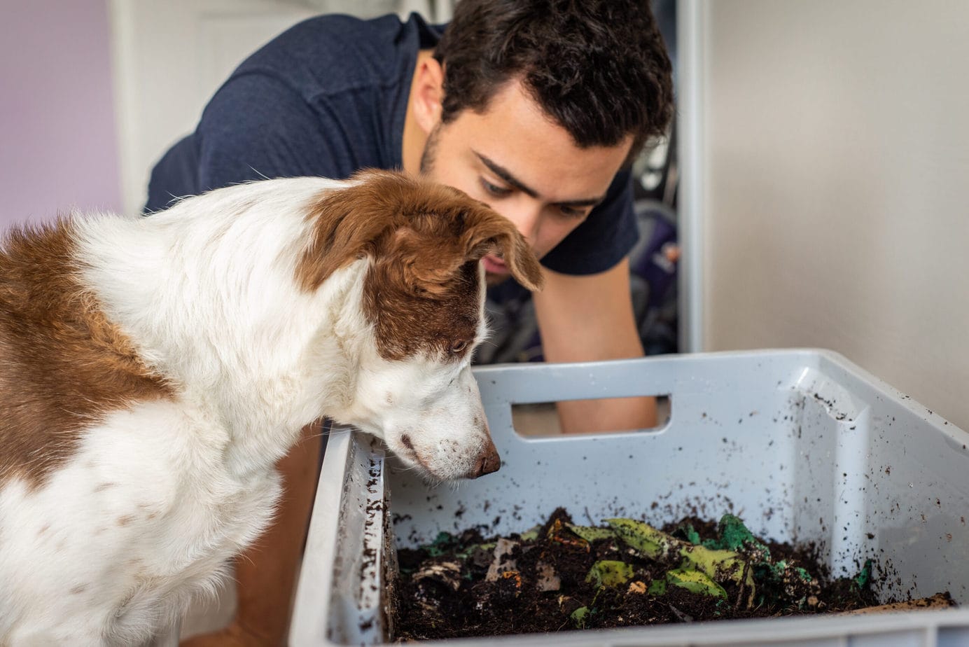 7 Easy Eco-Friendly Tips For Puppy Parents!