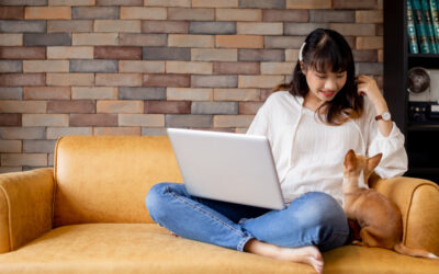 Does Online Puppy Or Dog Training Work? A Professional Insight