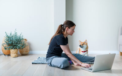 Online Training Vs In Person Training For Your Puppy Or Dog: An Honest Review