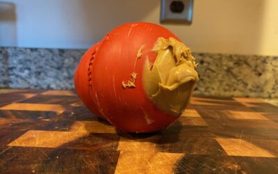 How To Use A Kong For Your Puppy (Including 46 Delicious Filling Suggestions!)