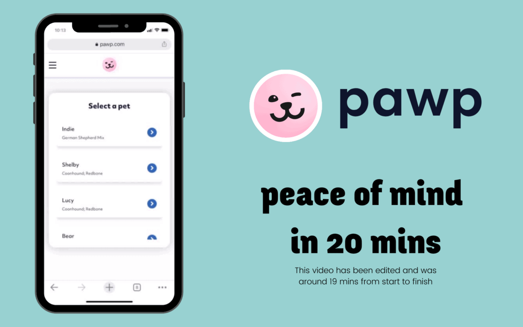 What Is Pawp? Is This Online Vet Any Good For New Puppy Parents? An Honest Review