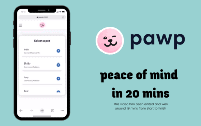 What Is Pawp? Is This Online Vet Any Good For New Puppy Parents? An Honest Review