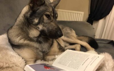 Easy Peasy Puppy Squeezy By Steve Mann, An Honest Review.