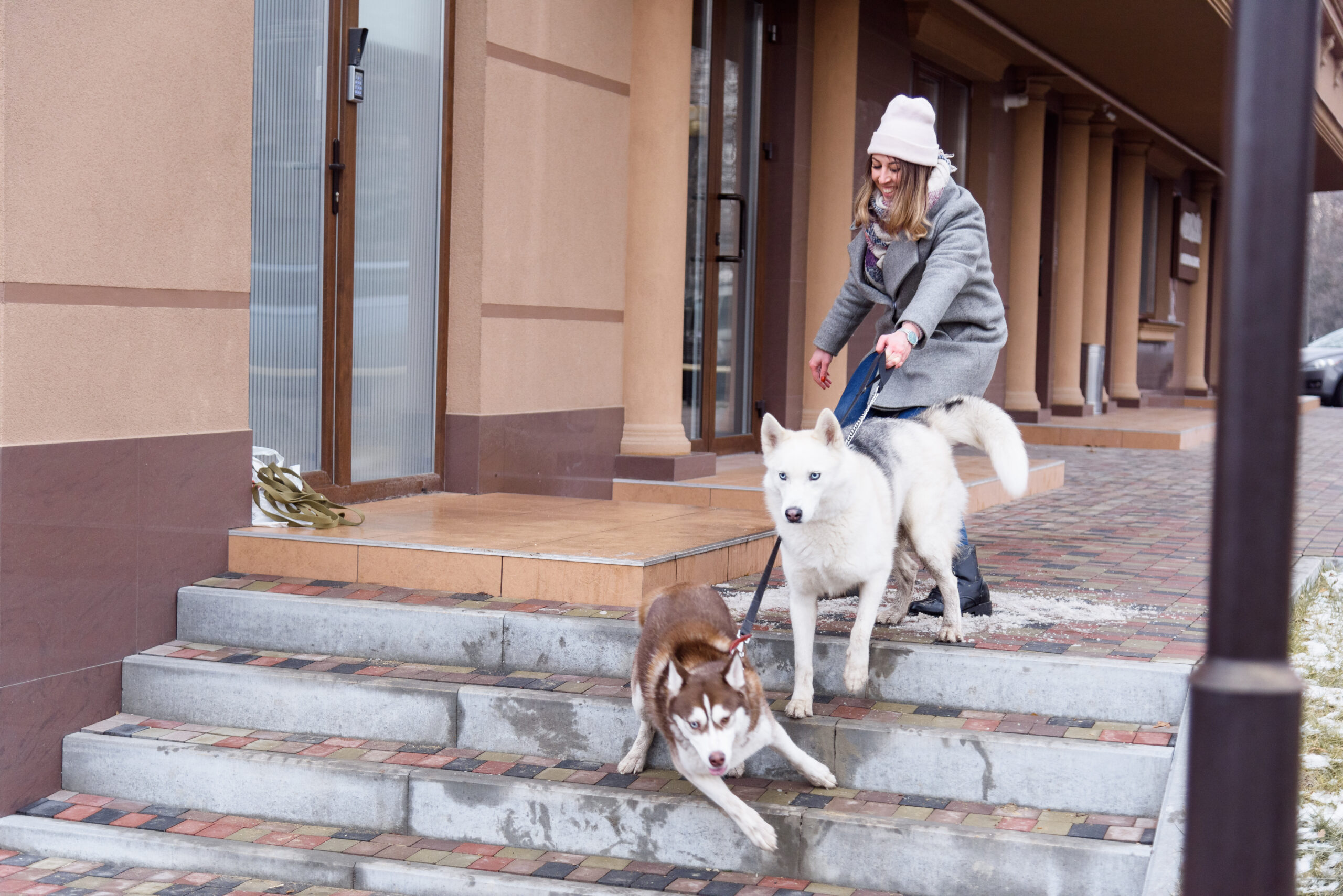 How To Stop Your Dog Pulling On A Leash – The Ultimate Tried and Tested 7 Step Solution