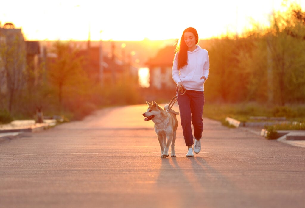 Teaching your woof to walk loose leash is really important