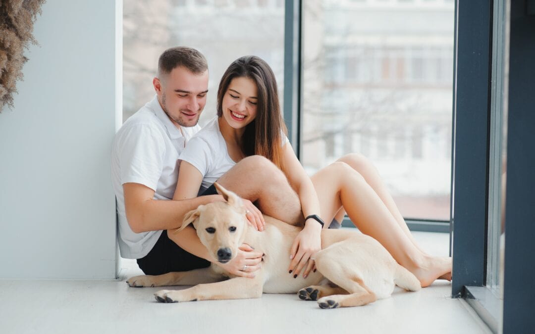 Is There A Puppy Mill Near Me? The Problem With Puppy Mill Pups.