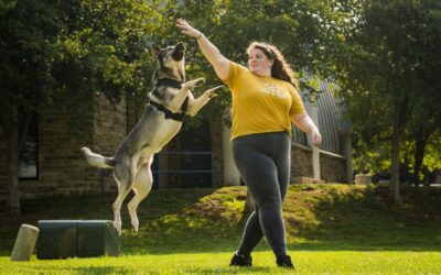 All about Ali Smith, from Rebarkable – The Weird And The Wonderful (That’s Me!)