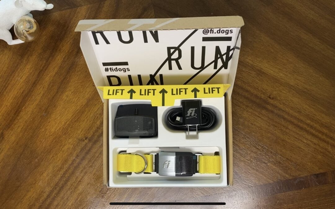 Fi Series 2 Collars: Using Tech To Keep Our Dogs Safe – An Honest Review