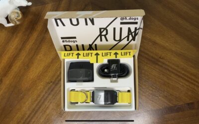 Fi Series 2 Collars: Using Tech To Keep Our Dogs Safe – An Honest Review