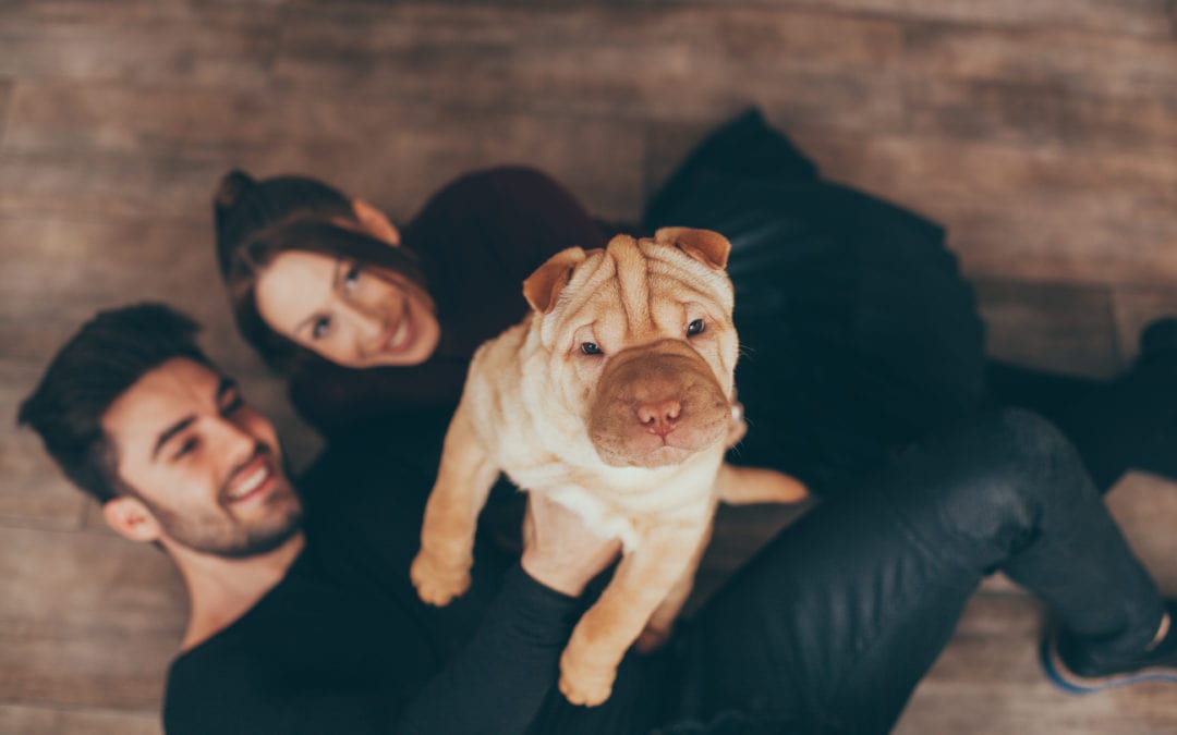 7 People Who Can Help With The Puppy Blues