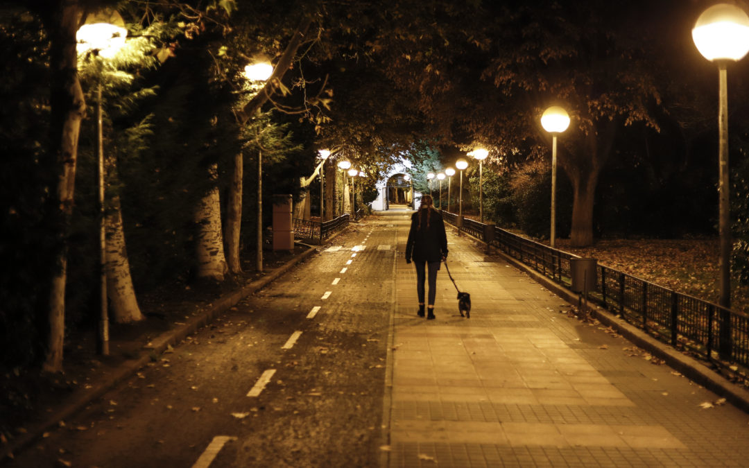 How To Walk Your Dog Safely In The Dark