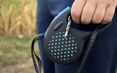 5 Reasons Why Trainers Rarely Recommend Flexi Leashes.