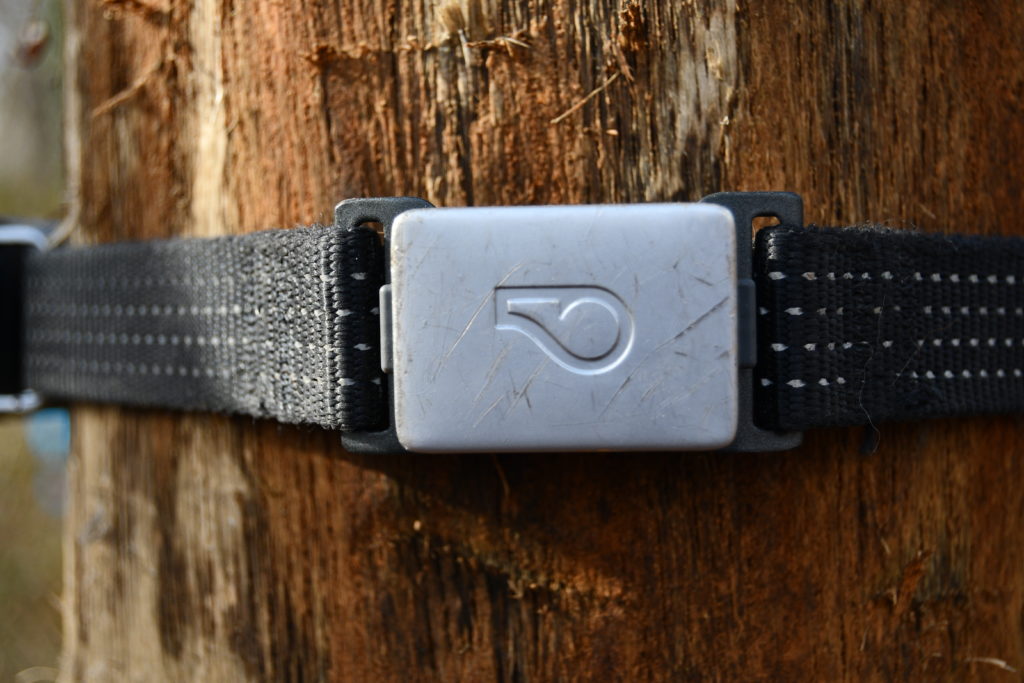 Whistle switch review dog tracker