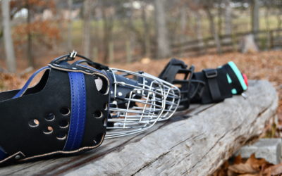 Muzzles: 9 Simple Considerations When Buying A Muzzle For Your Dog
