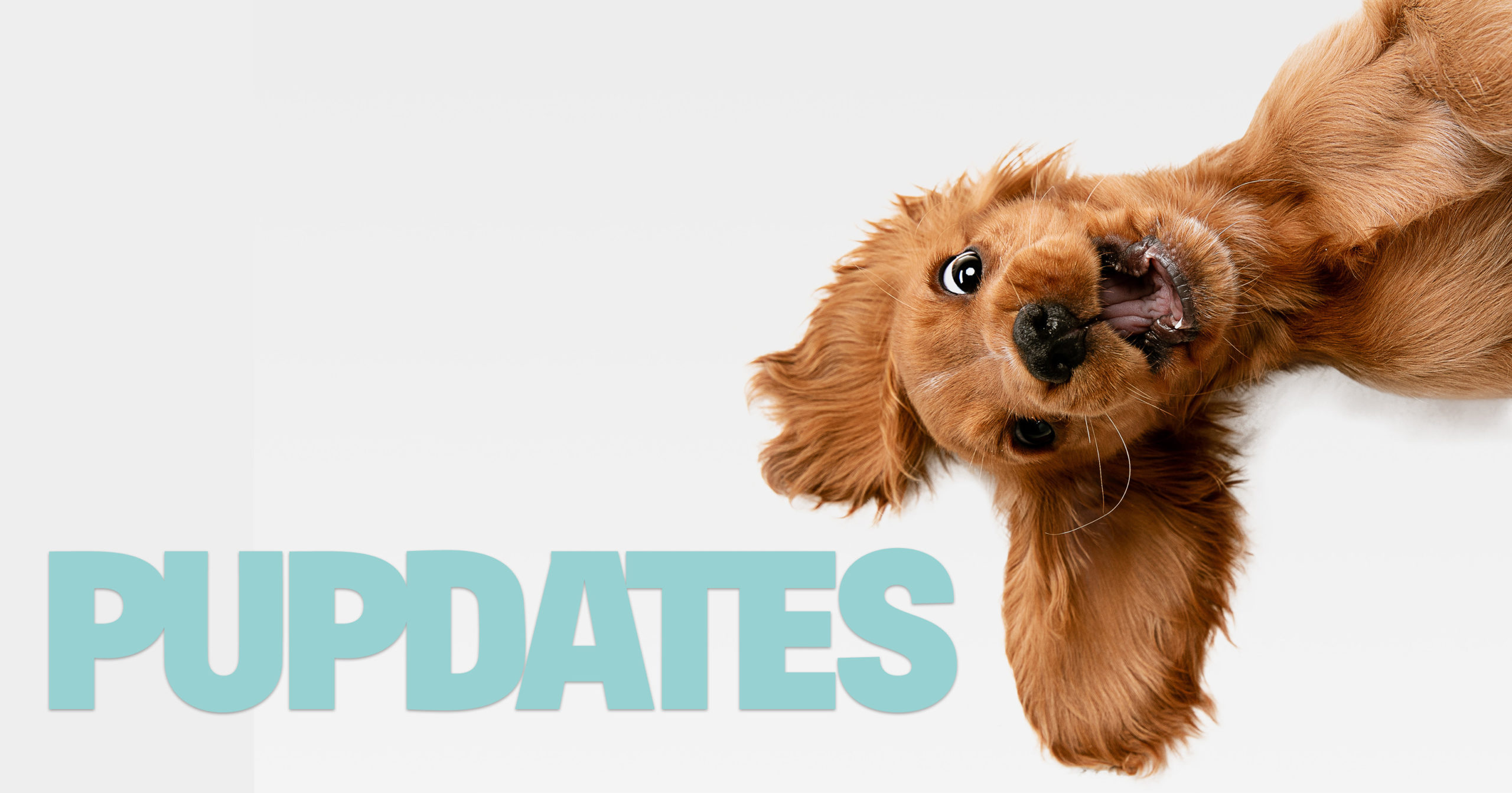 pupdatesservice pupdatesservice