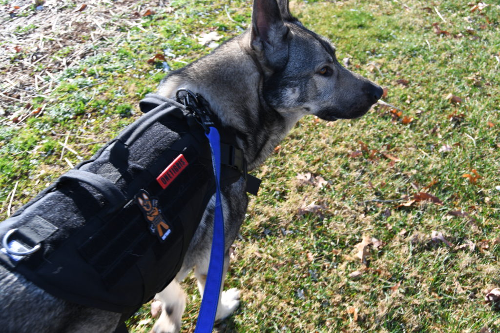 The Xdestroyer harness has attachment points at the front, and this shows the three handles quite nicely