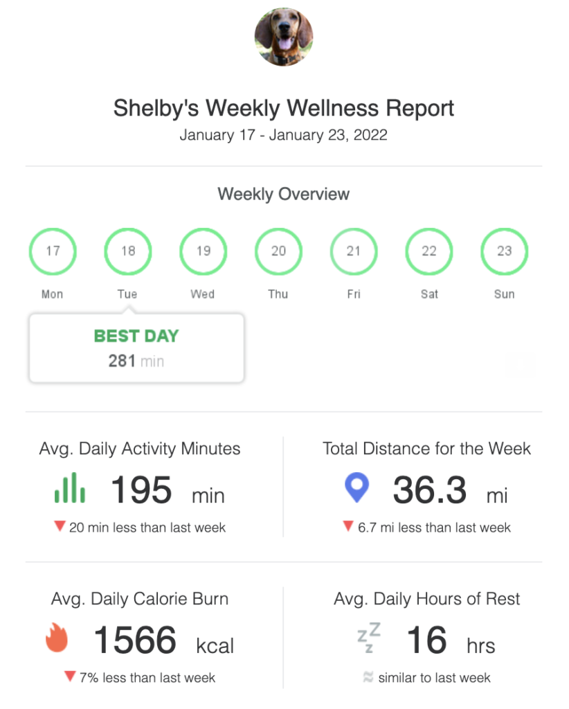 Whistle Switch weekly wellness report