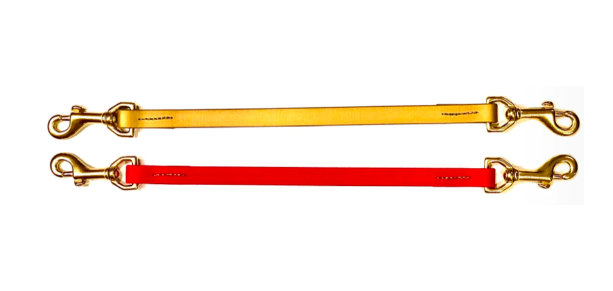 Trailblazing Tails Safety Strap