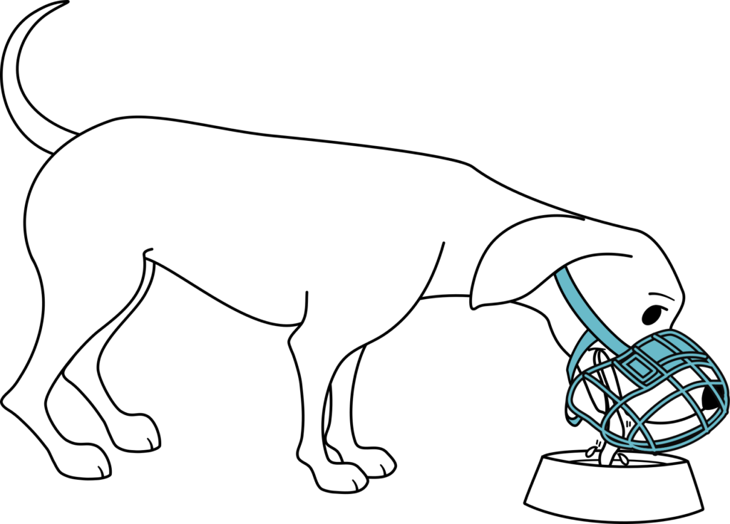 drinking thrugh a muzzle means that your dog can exist in them for a significant amount of time