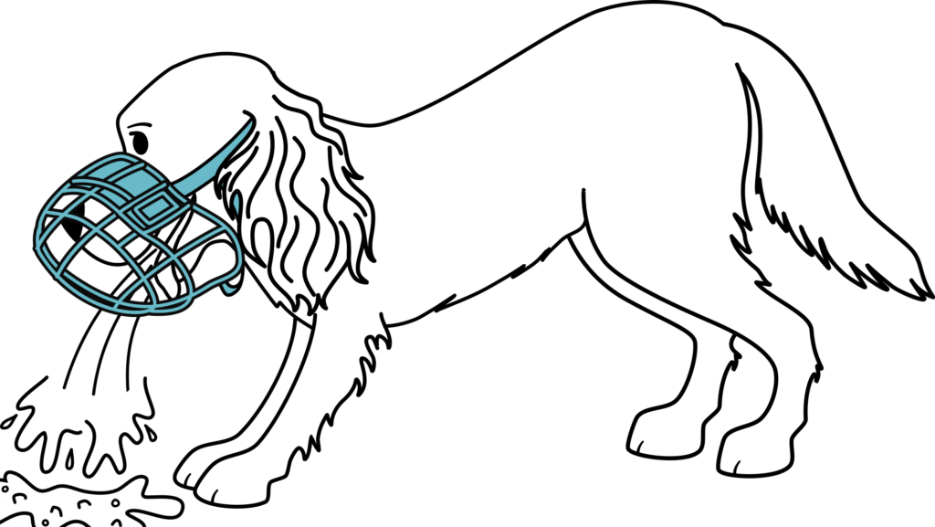 often underestimated is a dogs need to vomit whilst wearing a muzzle.