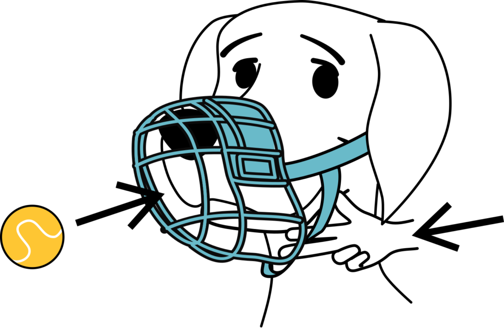 should be able to hold a tennis ball and you should be able to fit two fingers in beneath the muzzle to ensure proper fit.