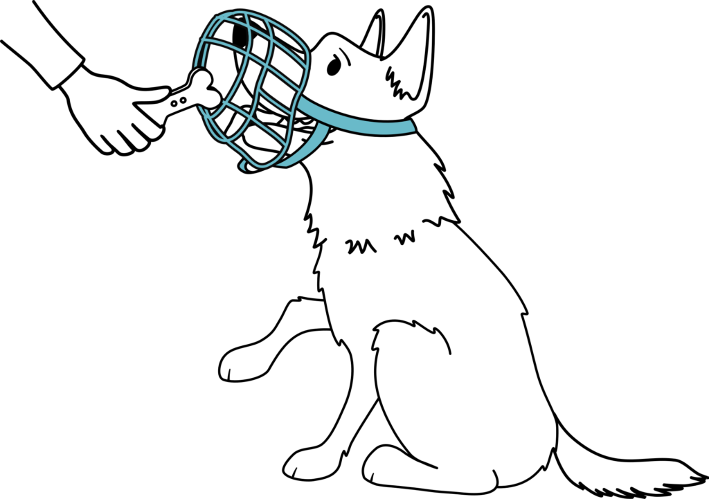 taking treats through a muzzle is important for training purposes