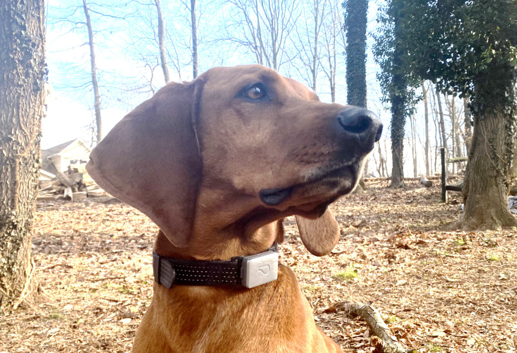 Shelby wearing her whistle switch for our honest review