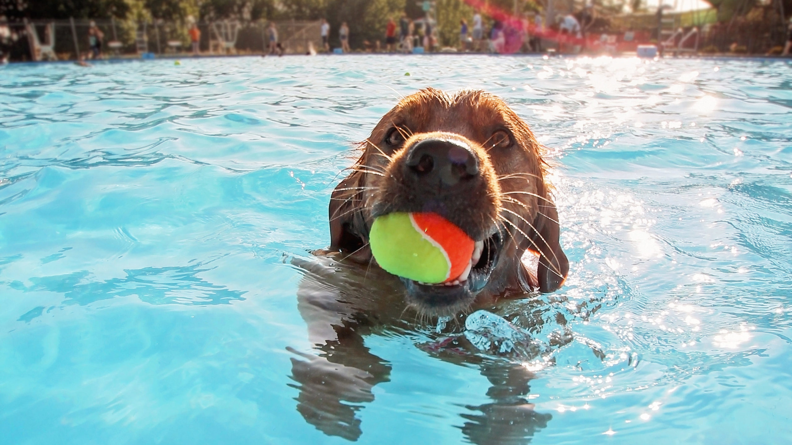 AdobeStock 184508308