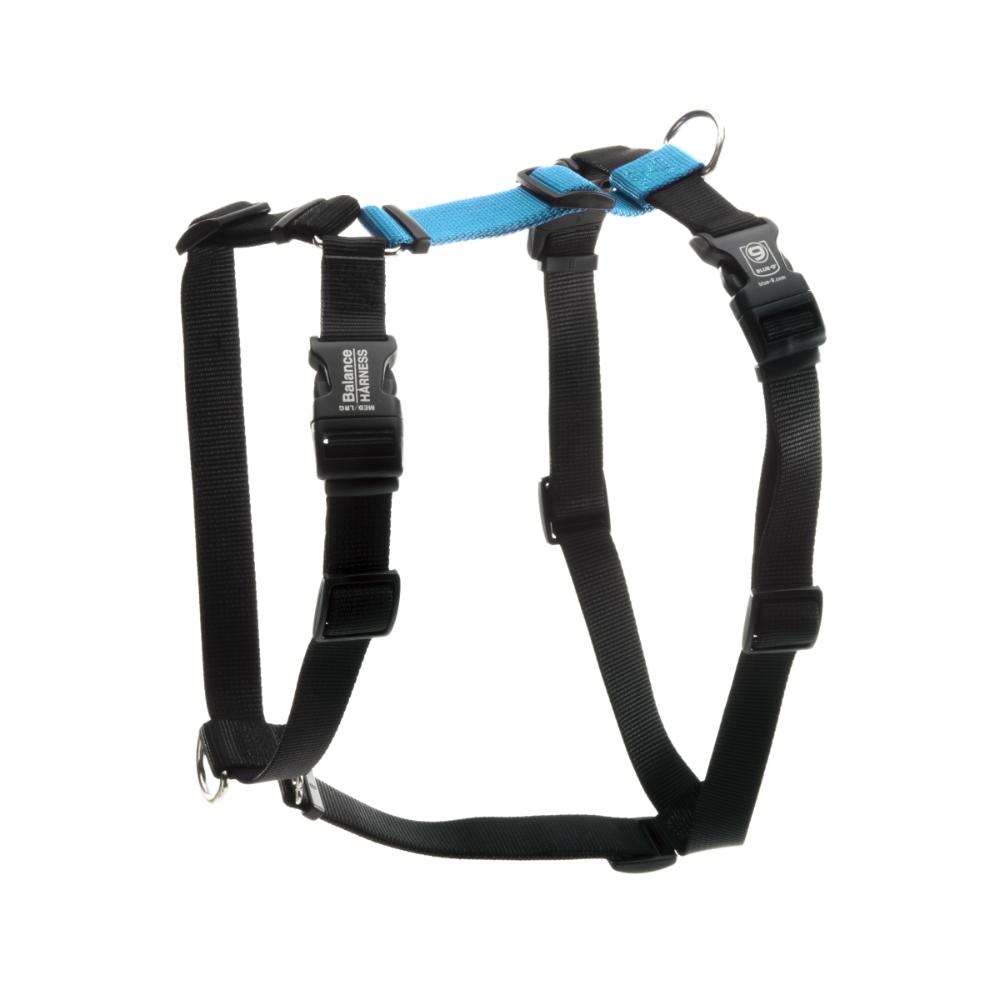 Blue-9 Balance Harness review