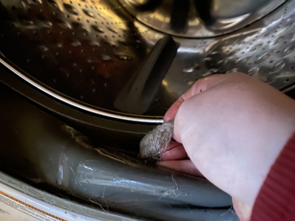 Clean washer drain of dog floof between washes