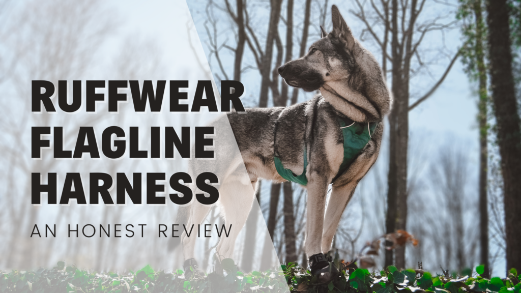 ruffwear flagline dog harness honest review