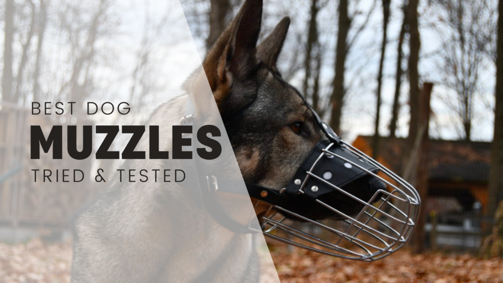 Best dog muzzles