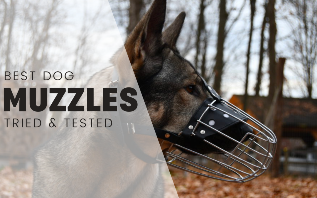 Best Dog Muzzles 2024 – Tried & Tested By A Professional Dog Trainer