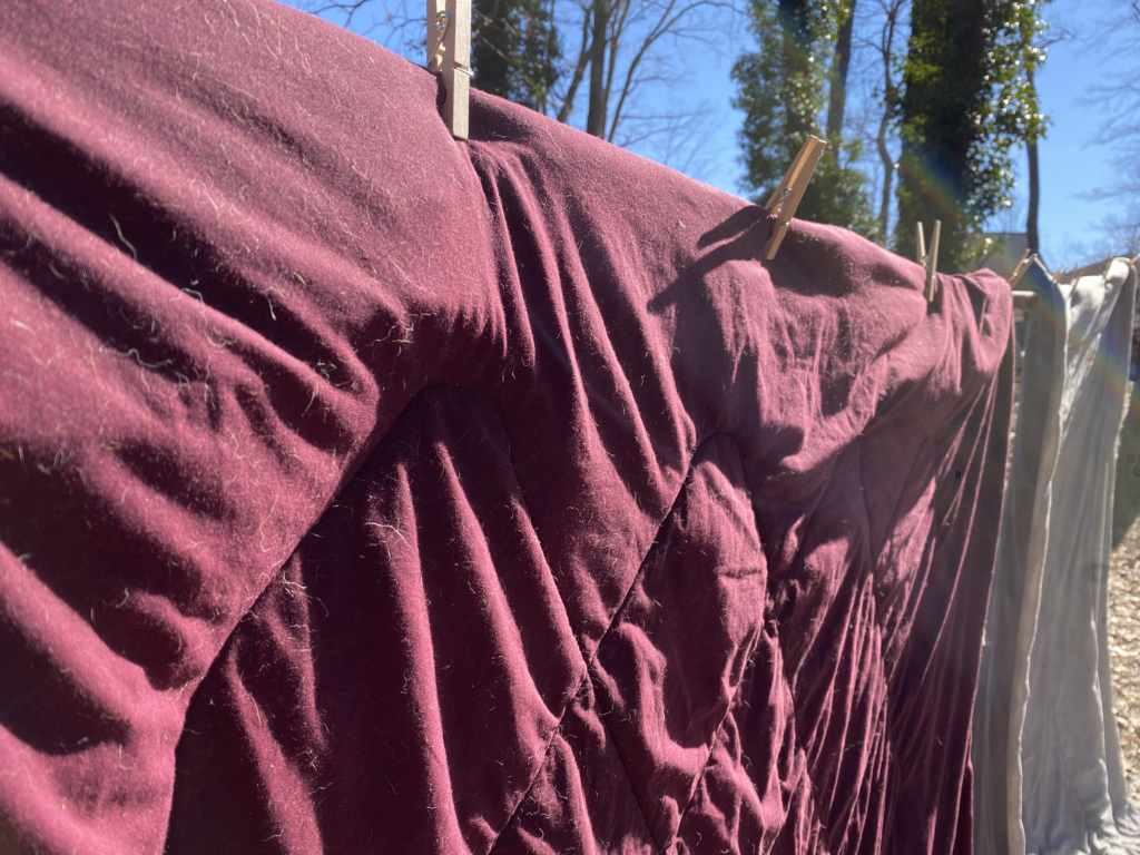 when Washing dog blankets, hang them out on the line