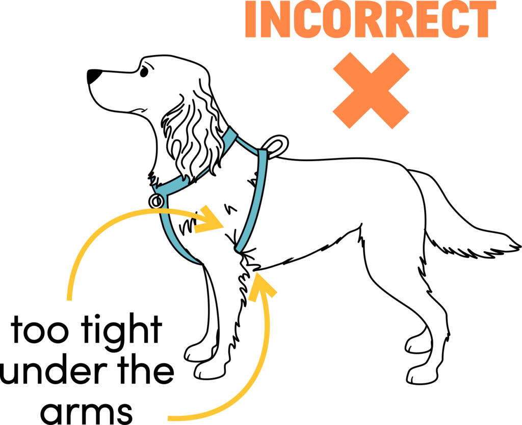 a harness that's too small will pinch under the arms, and isn't a good fit.