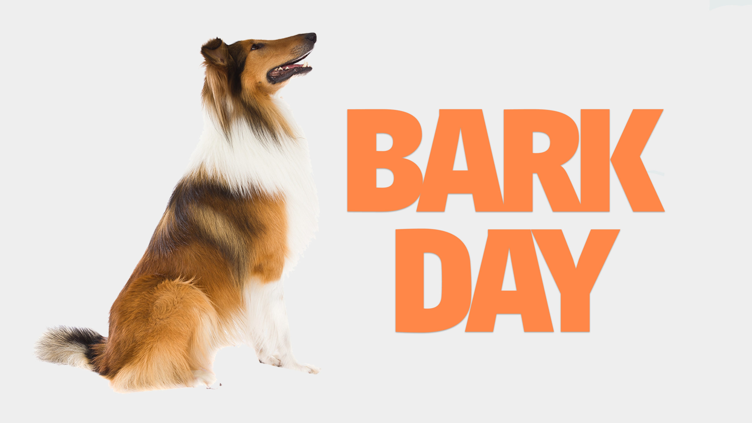 barkday