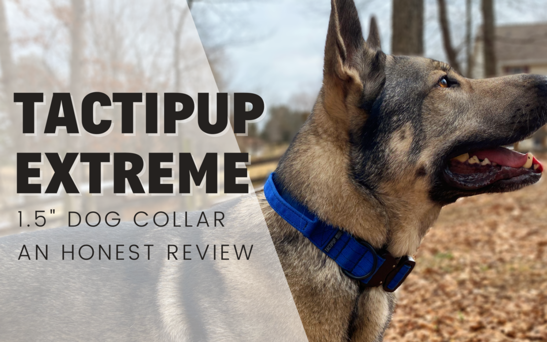 Tactipup Extreme Dog Collar 1.5″ – An Honest Review