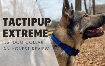 Tactipup Extreme Dog Collar 1.5″ – An Honest Review
