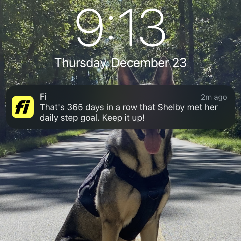 Fi dog tracker notification example on the iphone lockscreen