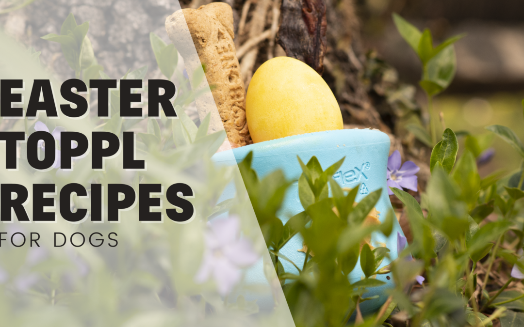 Easy Easter Treat Toppl Recipes For Raw Fed Dogs