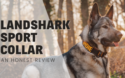 Landshark Sport Dog Collar 1.5″ – An Honest Review