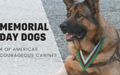 Memorial Day Dogs – America’s Courageous Canines