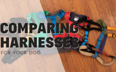 Comparing the Market Leading Dog Harnesses